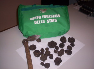 tartufo 1