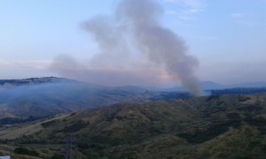 incendio tornareccio