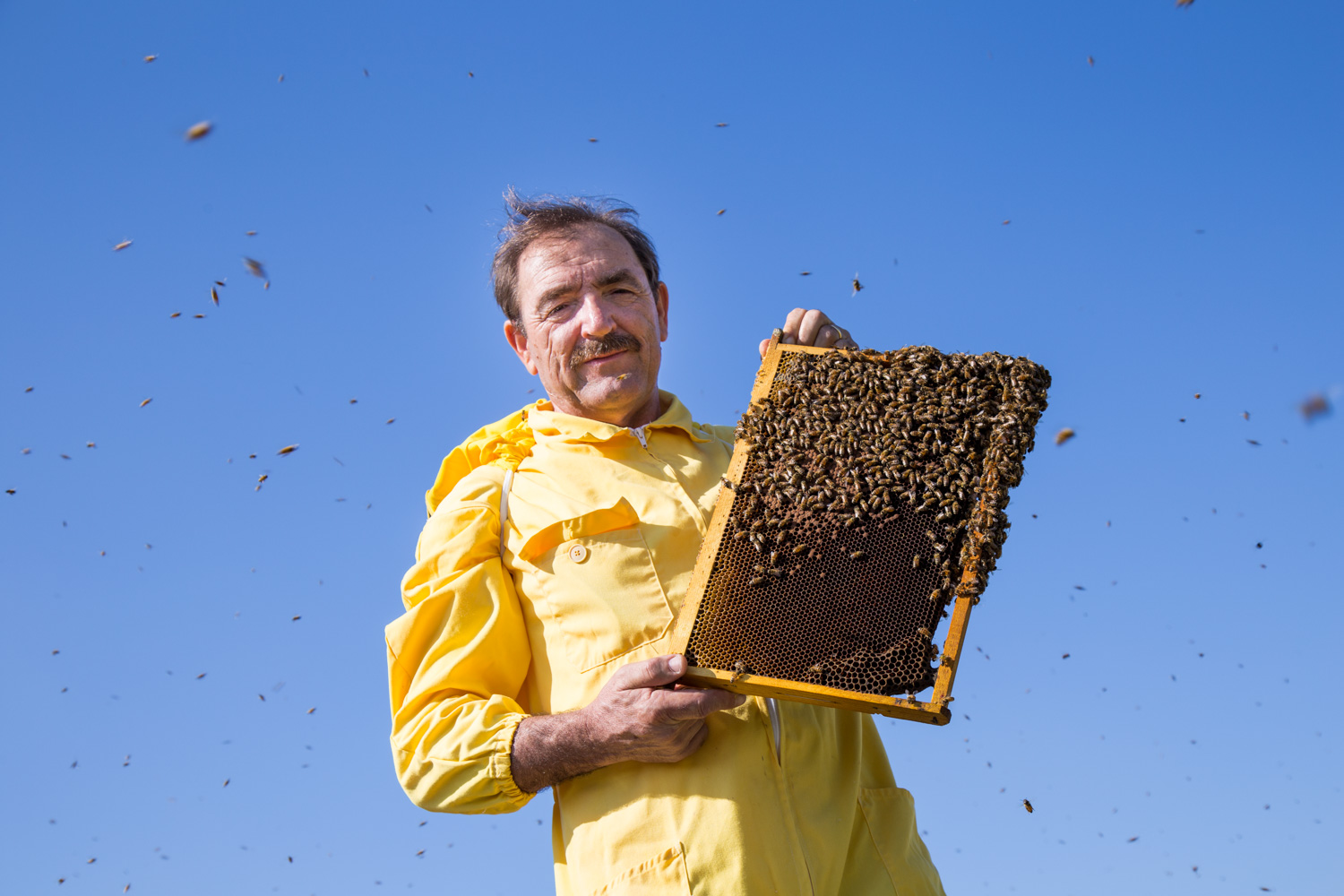 London Honey Award: al miele di Luca Finocchio la medaglia di platino -  L'Eco