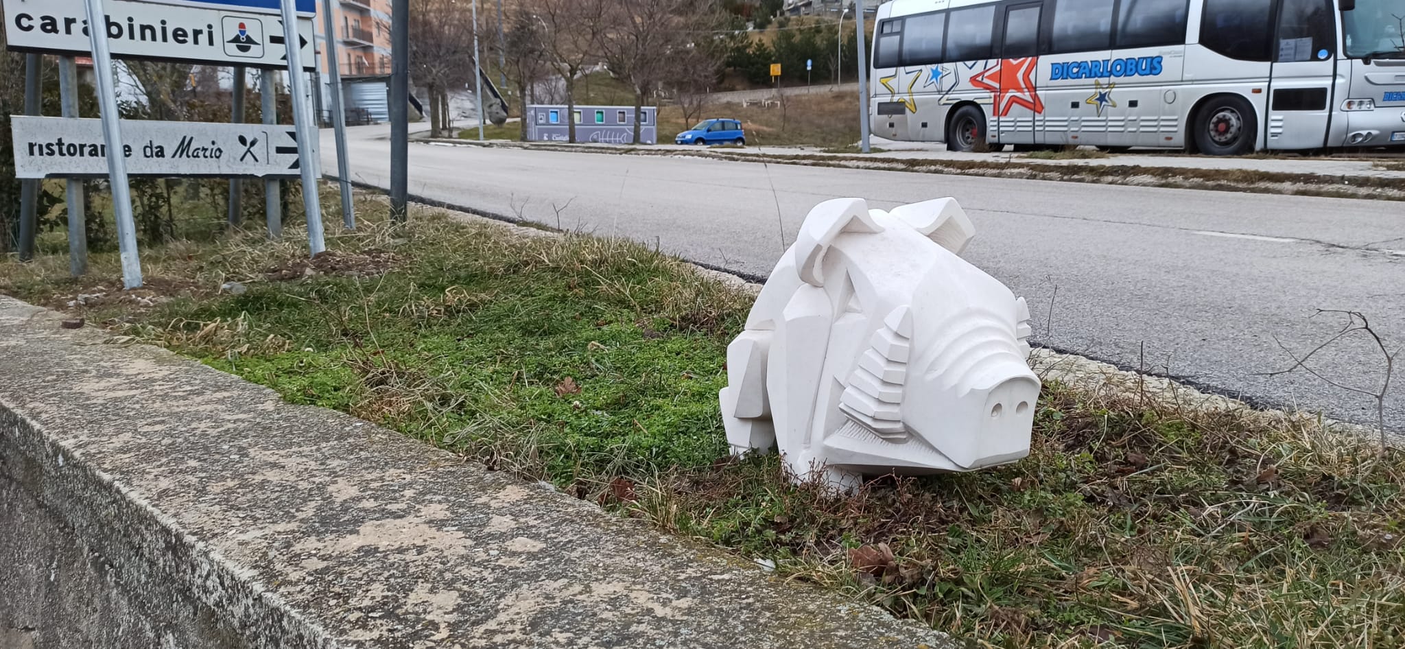 Cinghiale bianco avvistato alle porte di Castiglione ...