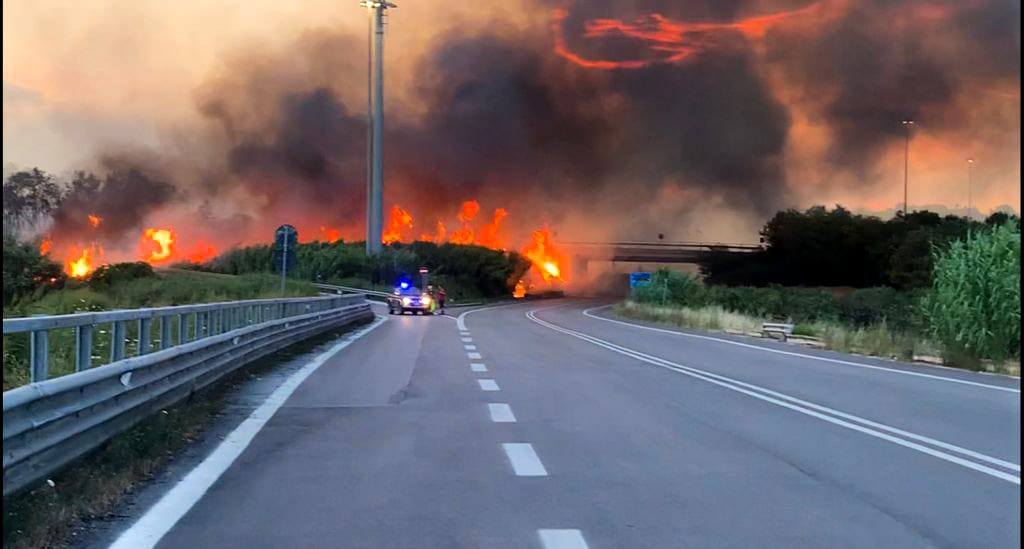 Incendi, Coldiretti: "Stop a speculazioni su terreni bruciati e sostegno a imprenditori" - Vimarsana News