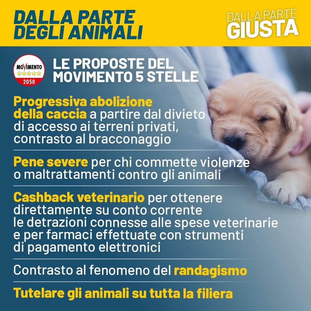 Associazioni animaliste e movimenti locali chiedono una normativa