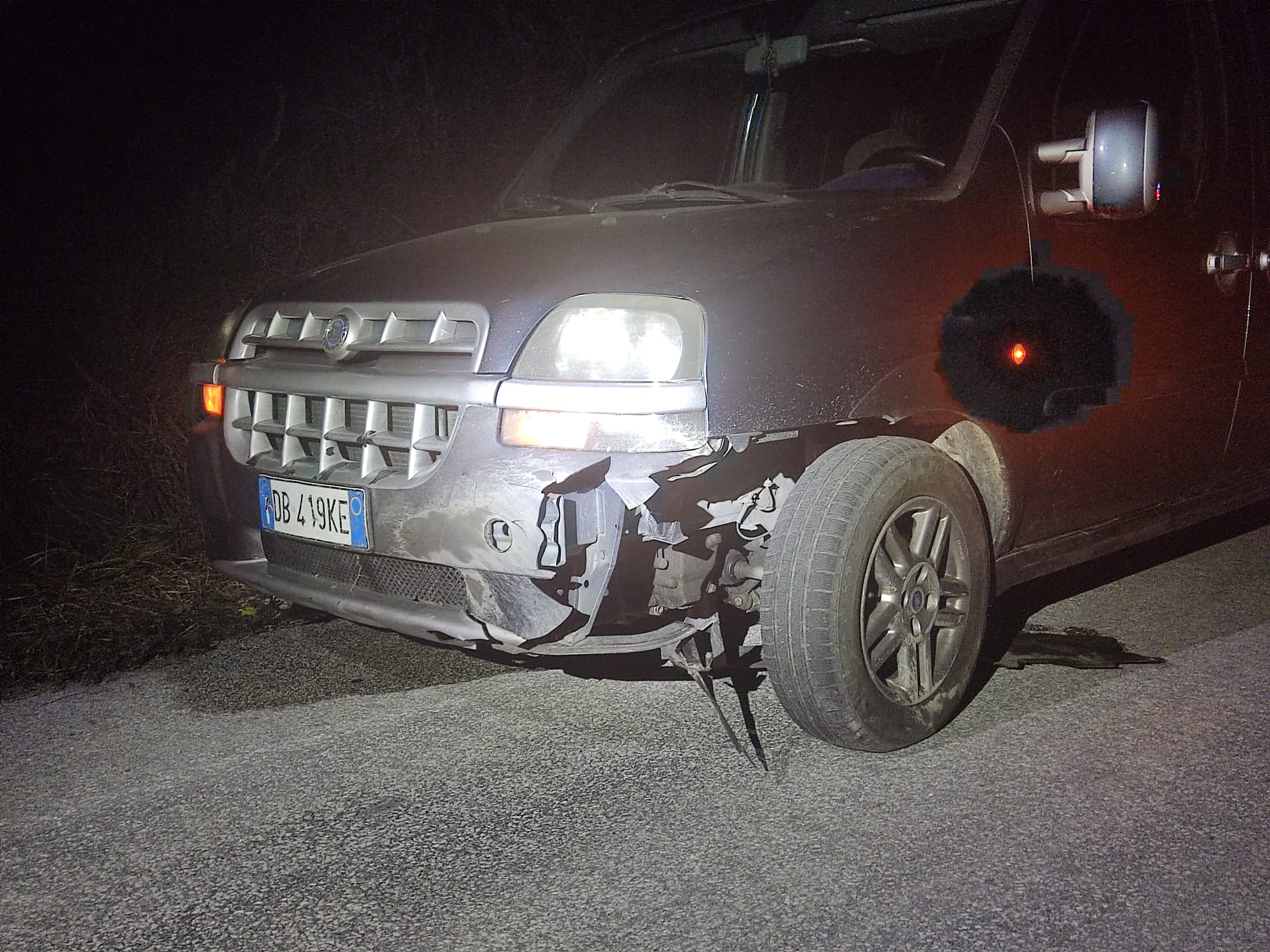 Branco Di Cinghiali Su Strada, Ancora Incidenti In Alto Molise ...