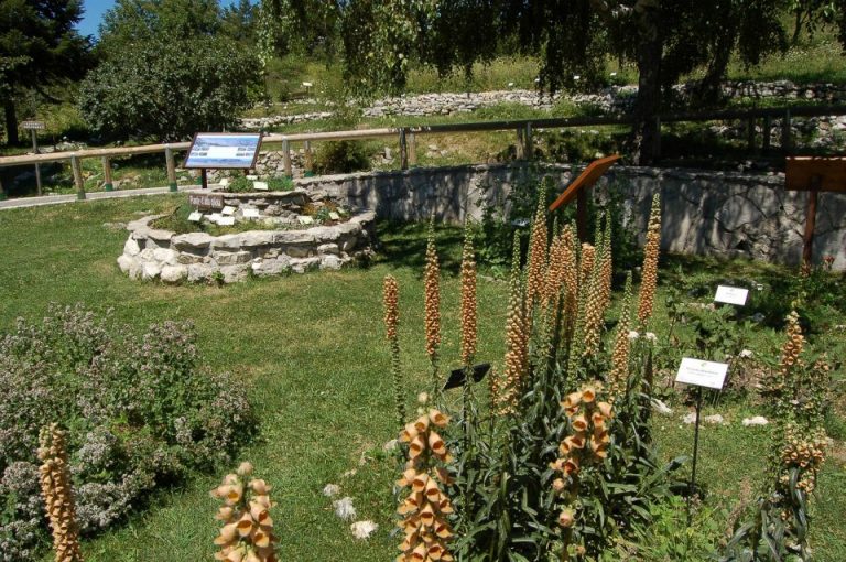 Il giardino della flora appenninica di Capracotta nella rubrica