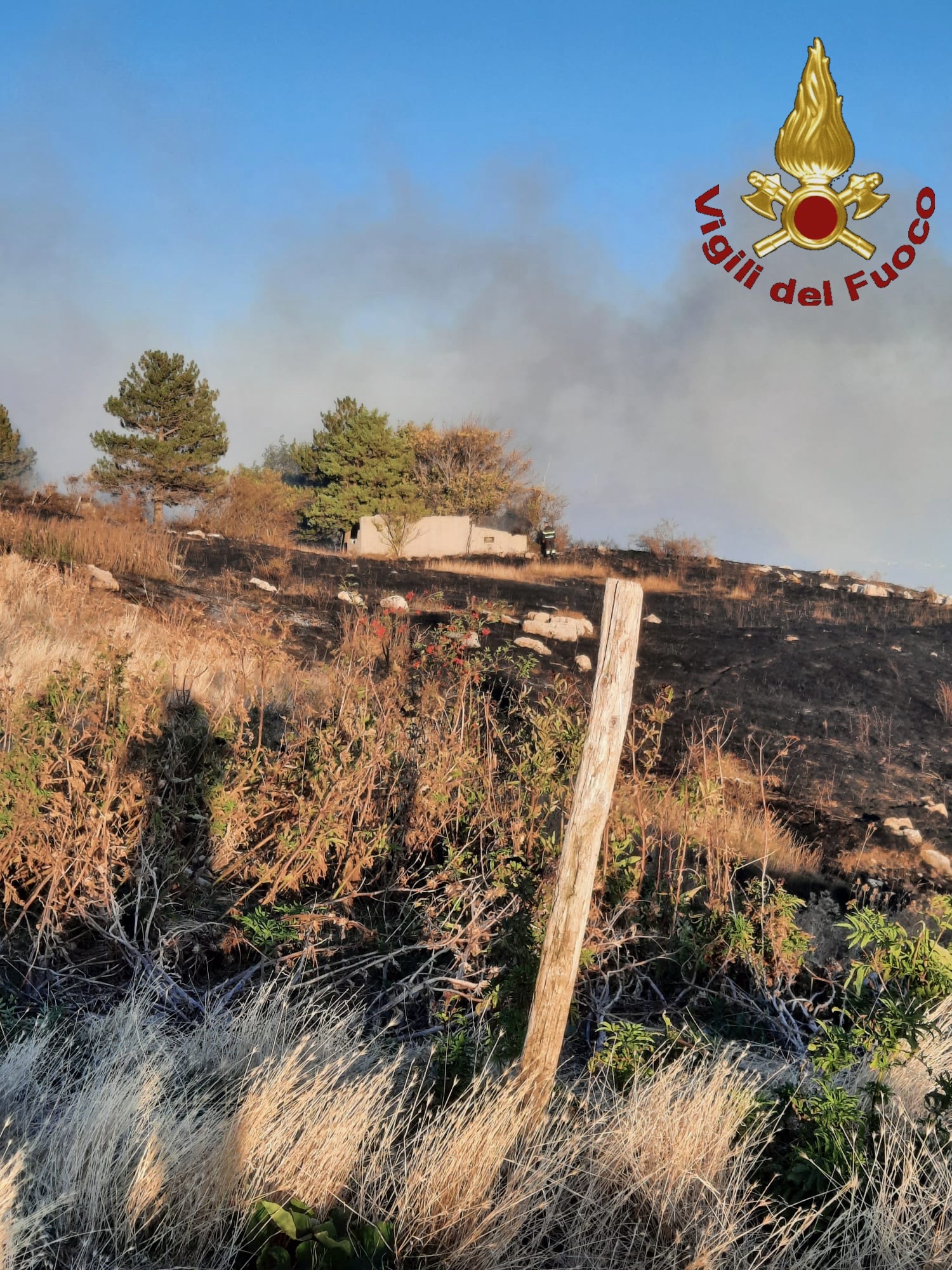 Piromani Ancora In Azione Ad Agnone Tre Ettari Di Vegetazione 