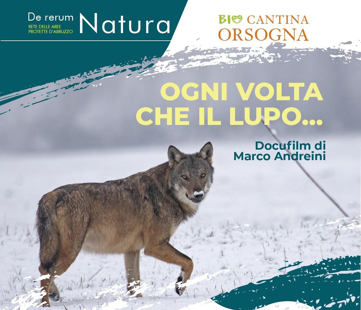 Lupo e Uomo: insieme si può!», a Casoli per parlare di una convivenza  possibile - L'Eco